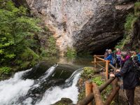 20170703 Jungscharlager 1601 korr c 20170703 Jungscharlager 1601 korr c