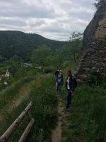 IMG 8452 IMG 8452