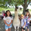 img 20260709